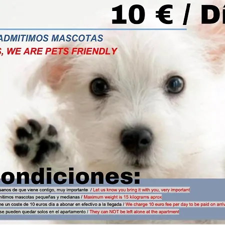 Www Apartamentovaldivia Es Parking Incluido *