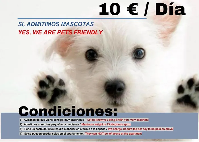 Www Apartamentovaldivia Es Parking Incluido *